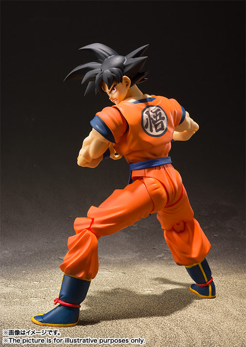 Tamashii Nations Son Goku Saiyan Raised Earth Dragon Ball Z