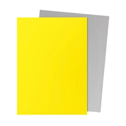 Dragon Shield Matte Dual Yellow & Silver 100 Count