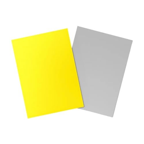 Dragon Shield Matte Dual Yellow & Silver 100 Count