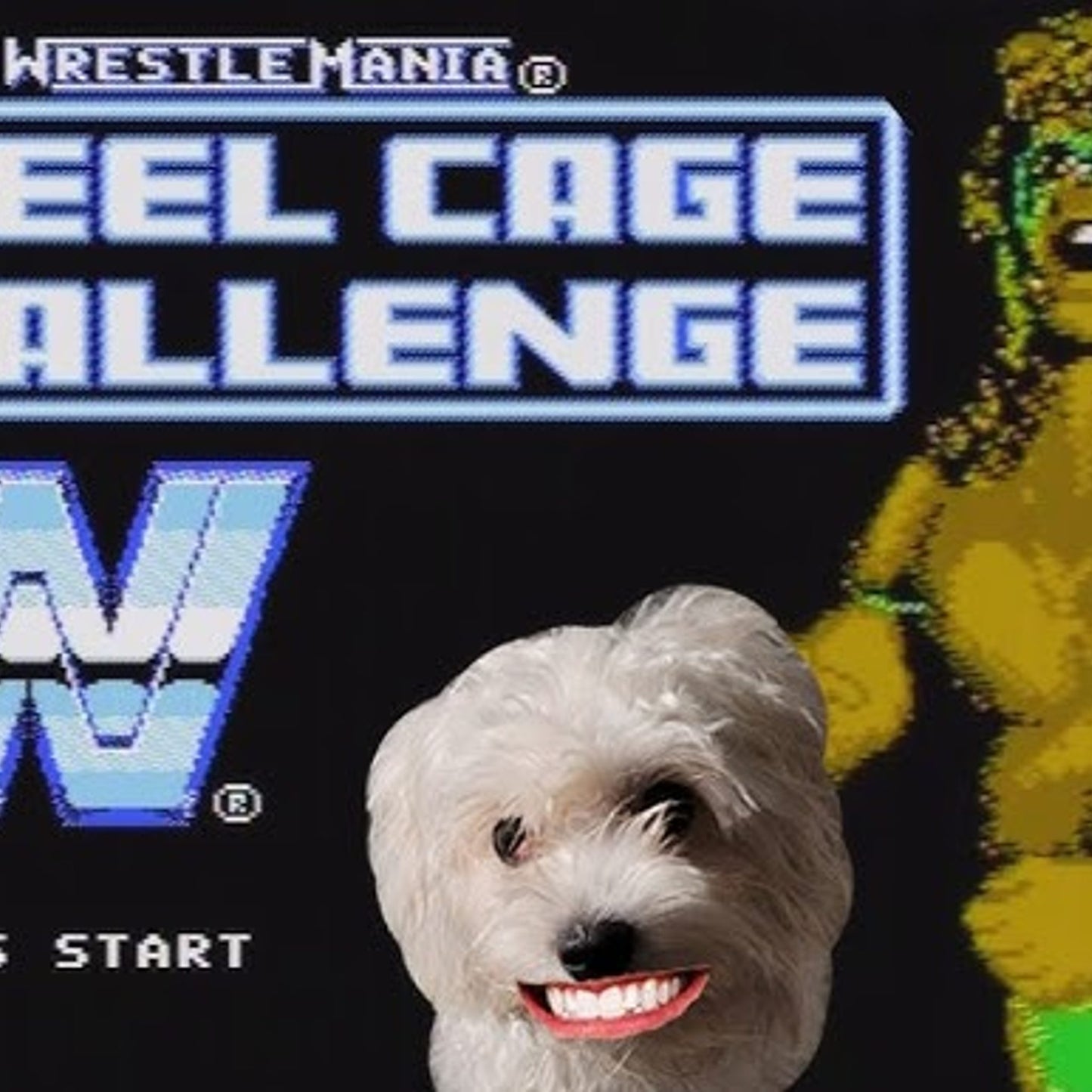MSI Entertainment WWE Wrestlemania Steel Cage Challenge Plug & Play Game