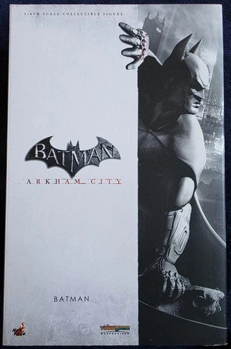 Hot Toys Batman Arkham City VGM18 DC 1/6 Scale Figure
